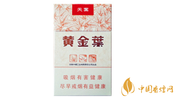 黃金葉天葉真?zhèn)卧趺幢鎰e？天葉真假如何看？