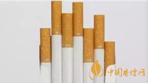 香煙和雪茄哪個好抽？香煙和雪茄八大區(qū)別介紹2020