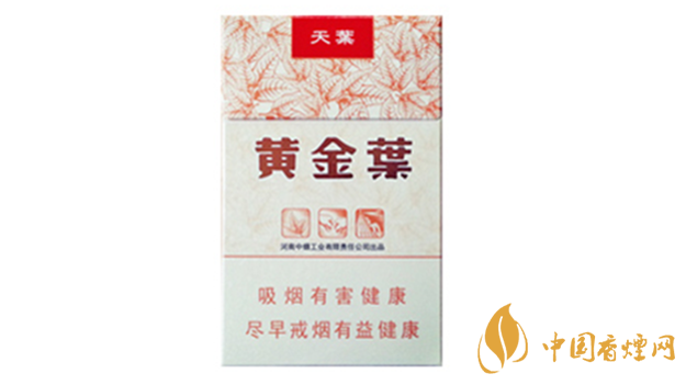 黃金葉天葉真假怎樣區(qū)分？黃金葉天葉真假識(shí)別