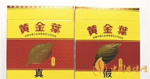 黃金葉金滿(mǎn)堂真假區(qū)分 2021黃金葉金滿(mǎn)堂區(qū)分方法