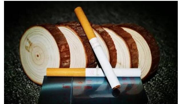 黃鶴樓游泳回歸，爺爺輩最喜愛的香煙品牌