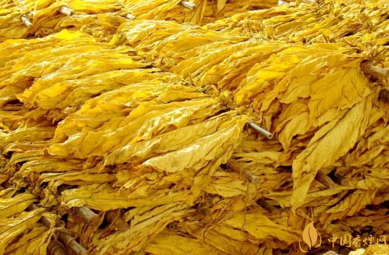 朱砂煙到底是什么煙，云煙朱砂煙有哪幾款