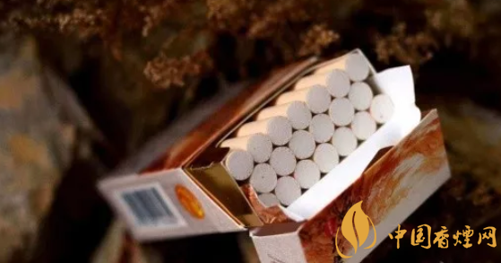 四川中煙長(zhǎng)城雪茄哪款好抽 新品萬里長(zhǎng)城雪茄味道如何(煙甜潤香)