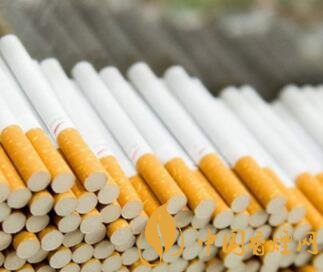 保加利亞海關緝獲59噸假冒卷煙