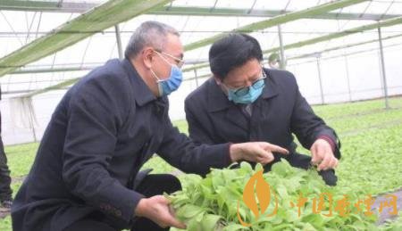 四川涼山10余項煙草科技成果將進入田間試驗示范！