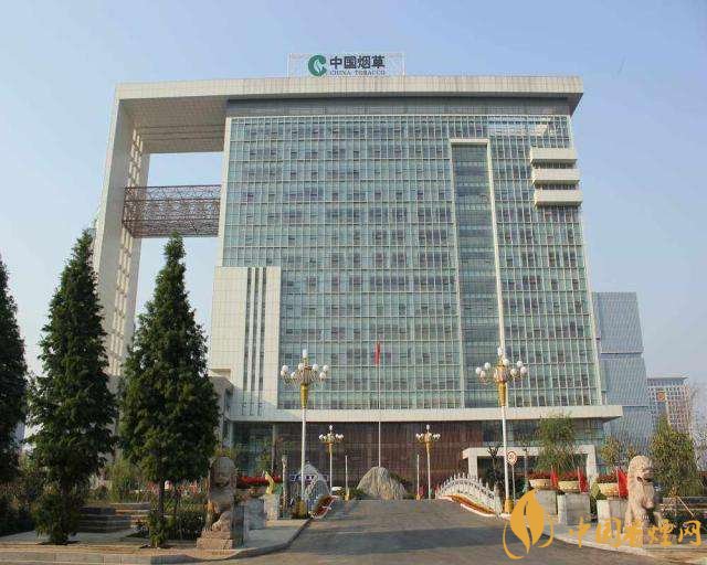 3.5億煙民1年為國家貢獻1.2億！專家：卷煙太便宜，要漲價